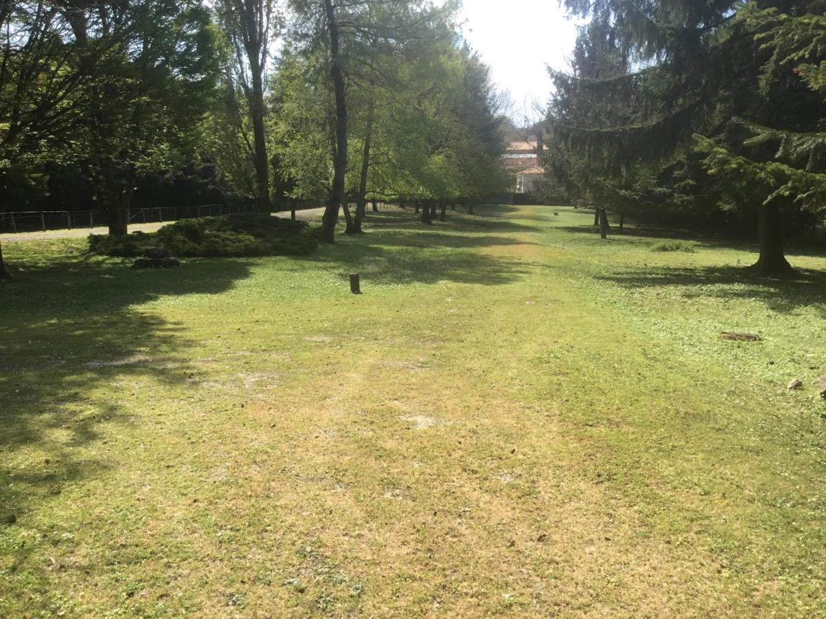 Вилла Les Pierrottes Mornac Экстерьер фото